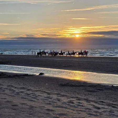 By The Sea In Belgium With Access, Cleaning Included *