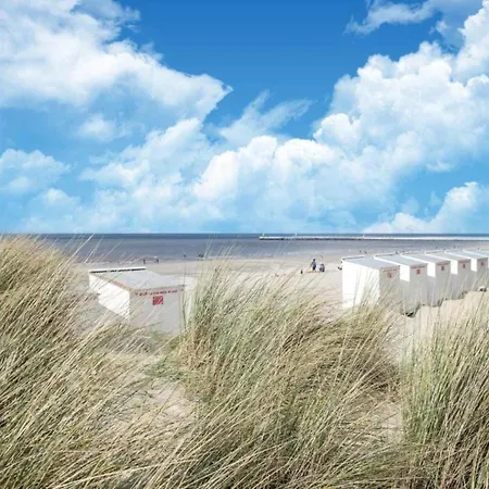 By The Sea In Belgium With Access, Cleaning Included